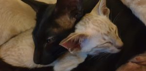 Mama baby cuddle time