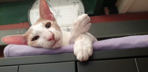 Jazz in front of a clock