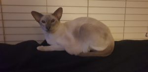 Glammy looking pretty